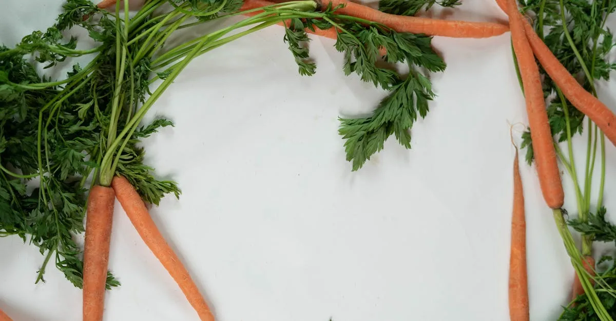 découvrez comment les carottes peuvent aider à soulager la constipation grâce à leurs fibres naturelles et leurs bienfaits pour la digestion.