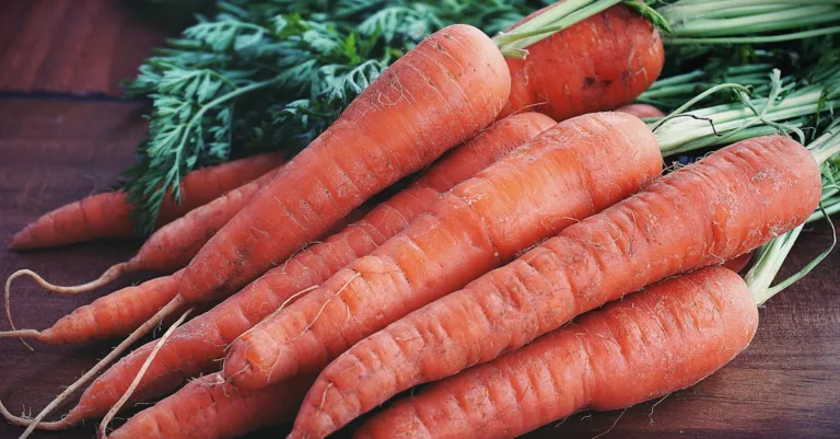 découvrez comment les carottes peuvent aider à soulager la constipation grâce à leurs fibres naturelles et leurs bienfaits pour la digestion.