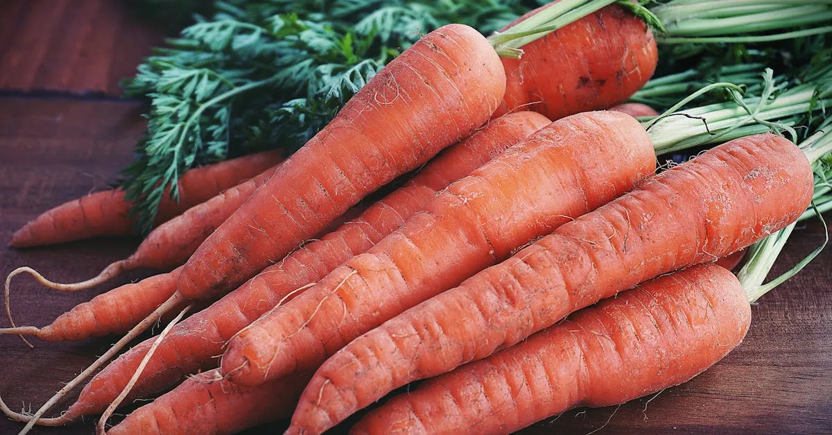 découvrez comment les carottes peuvent aider à soulager la constipation grâce à leurs fibres naturelles et leurs bienfaits pour la digestion.