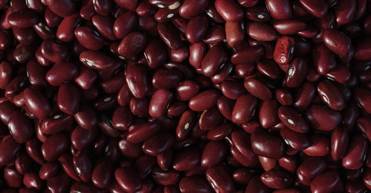 découvrez les aliments qui favorisent le nettoyage naturel des reins pour une meilleure santé rénale et un bien-être optimal.