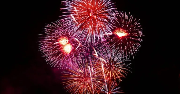 célébrez la saint-sylvestre avec une soirée inoubliable, pleine de joie, de musique et de feux d'artifice pour accueillir la nouvelle année.