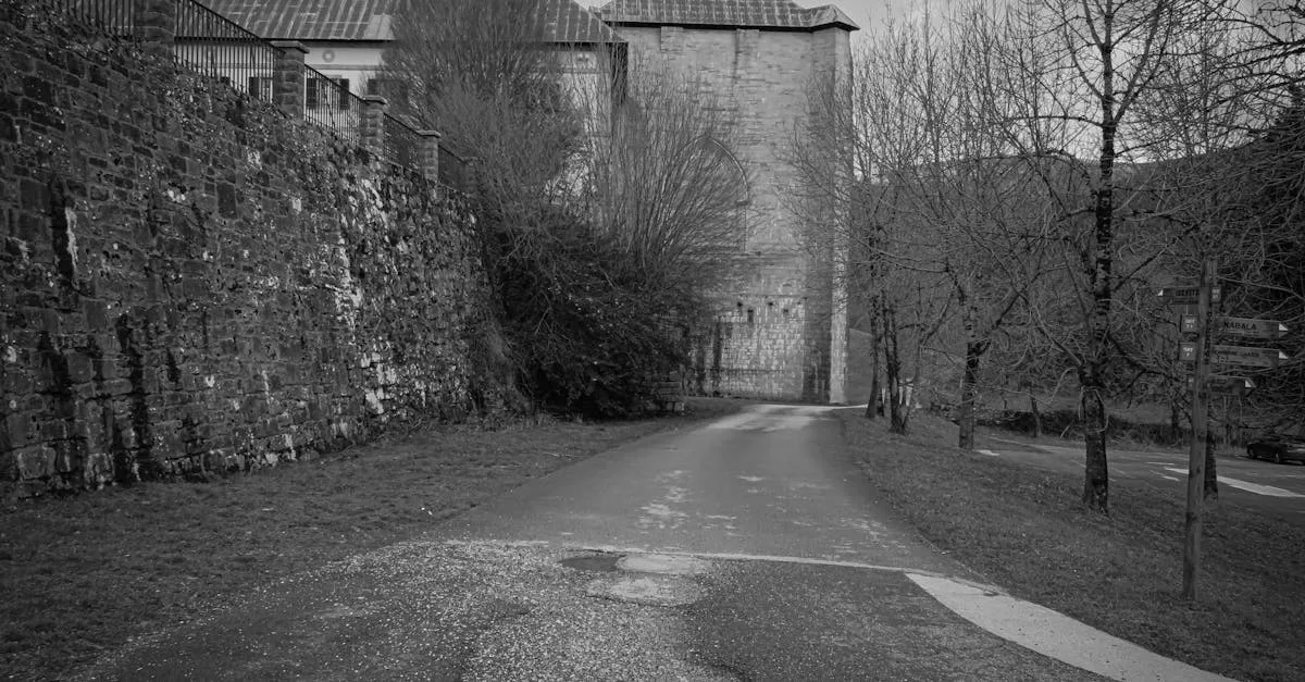 découvrez tout sur le pousse-pousse, ce véhicule traditionnel emblématique utilisé pour le transport urbain dans de nombreuses régions. histoire, fonctionnement et utilisation du pousse-pousse.