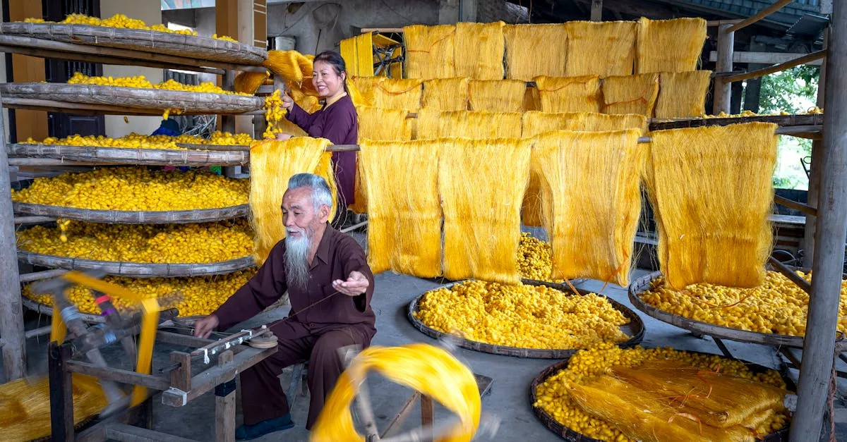 découvrez le musée de la soie, un lieu dédié à l'histoire, à l'art et à la fabrication de la soie, offrant une expérience unique pour tous les passionnés de textiles et de patrimoine.