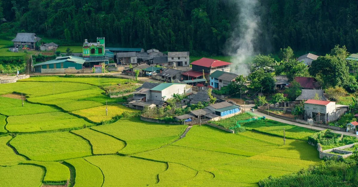 découvrez un éco-village : un lieu de vie durable alliant respect de l'environnement, solidarité et harmonie avec la nature.