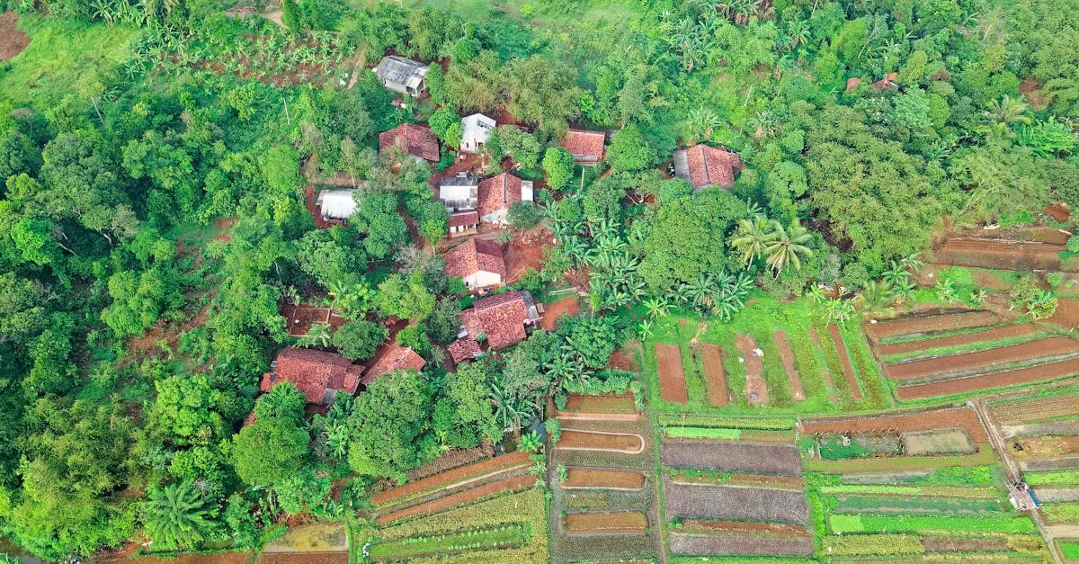 découvrez notre éco-village, un lieu dédié à la vie durable, à l’écologie et à la communauté, alliant respect de la nature et mode de vie responsable.