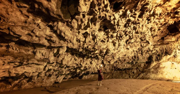 découvrez la grotte de l'éléphant, un site naturel fascinant alliant histoire et beauté géologique, idéal pour les amateurs d'aventure et de nature.