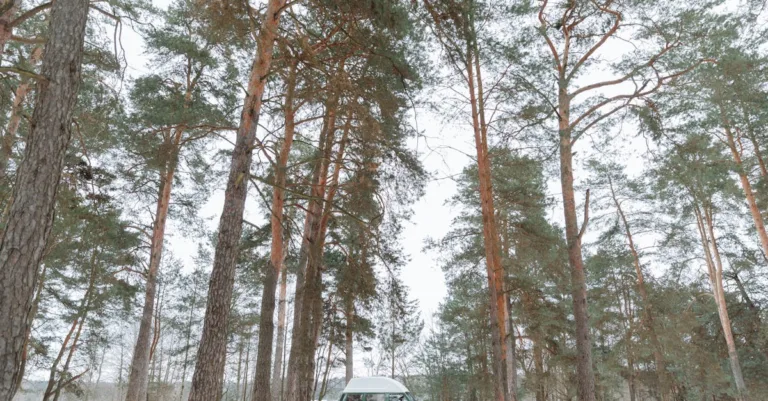 découvrez le van winter sleeping, votre compagnon idéal pour des nuits confortables en pleine nature, alliant praticité et chaleur pendant les aventures hivernales.