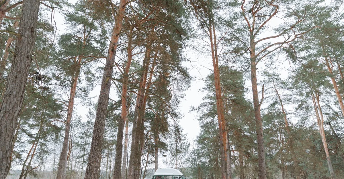 découvrez le van winter sleeping, votre compagnon idéal pour des nuits confortables en pleine nature, alliant praticité et chaleur pendant les aventures hivernales.