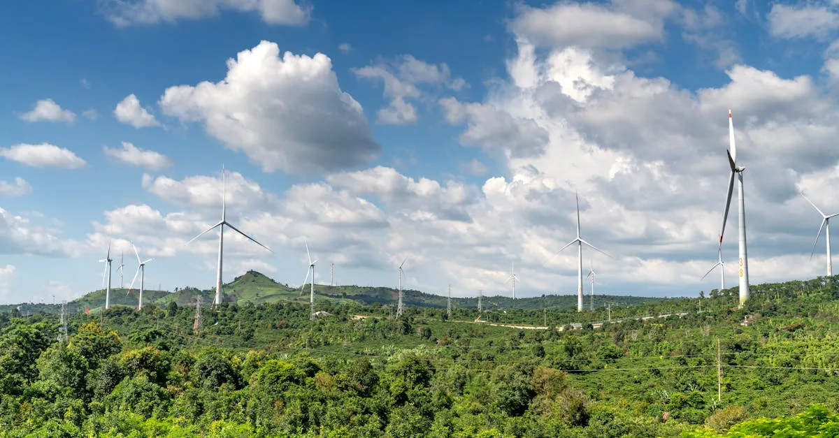 découvrez les réglementations environnementales essentielles pour protéger notre planète et assurer un développement durable conforme aux normes légales.