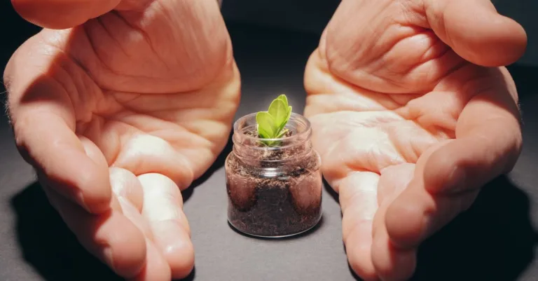 découvrez un modèle écologique innovant qui révolutionne la durabilité et préserve notre planète grâce à des solutions respectueuses de l'environnement.