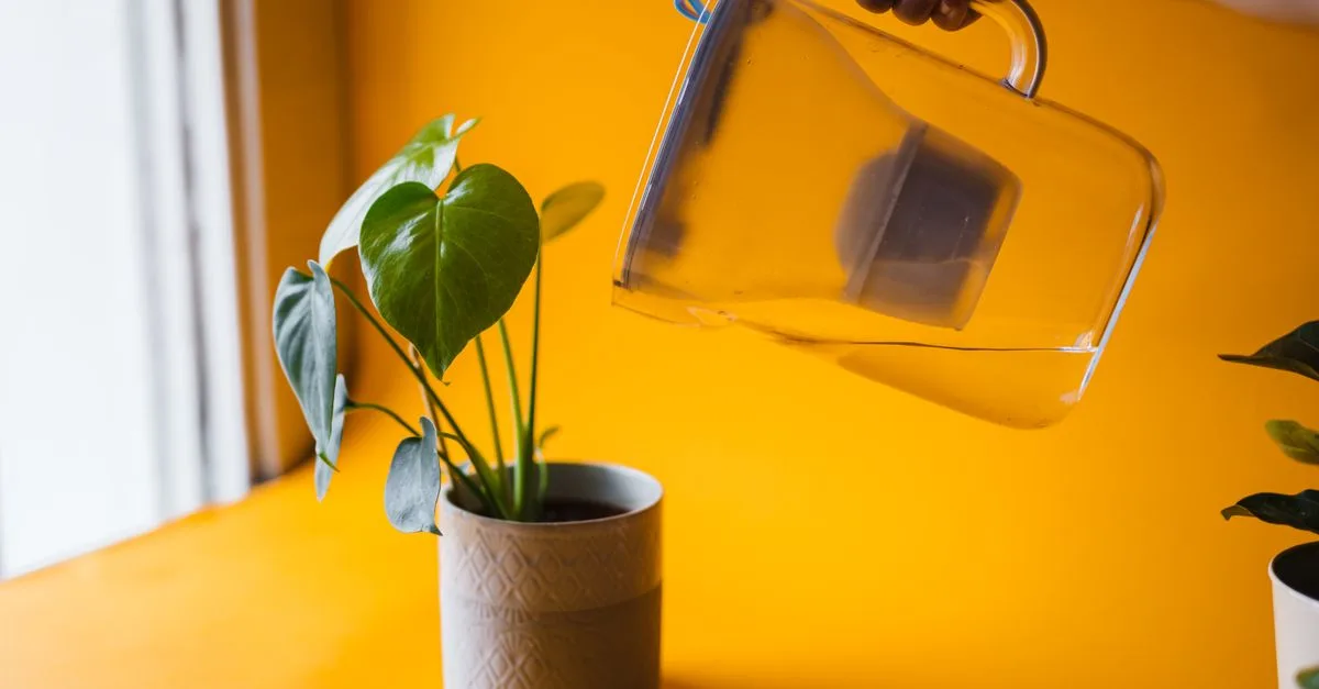 découvrez nos solutions efficaces de filtration de l'eau pour garantir une eau pure et saine à votre domicile ou bureau.