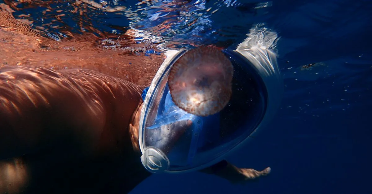 masque de plongée anti-buée offrant une visibilité claire sous l'eau pour une expérience de plongée sûre et agréable.