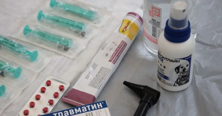 découvrez des informations complètes et fiables sur les médicaments, leur utilisation, leurs effets secondaires et conseils pour une prise sécurisée.