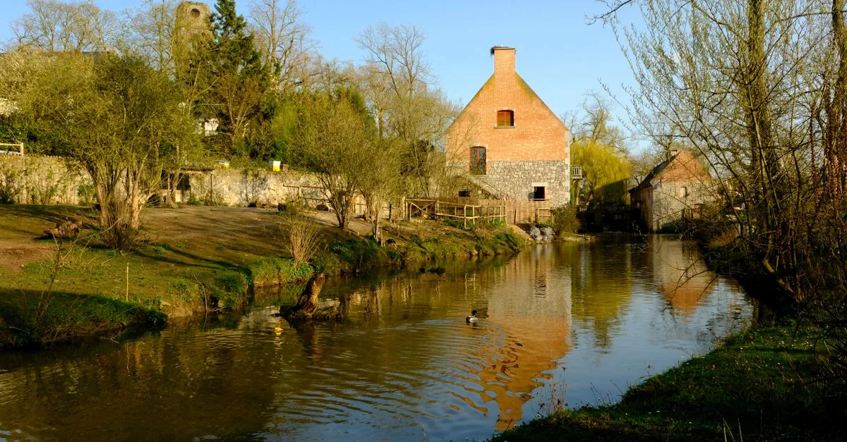 découvrez le moulin de la jarousse, un lieu historique alliant charme et authenticité au cœur de la nature. parfait pour des visites culturelles et des moments de détente.