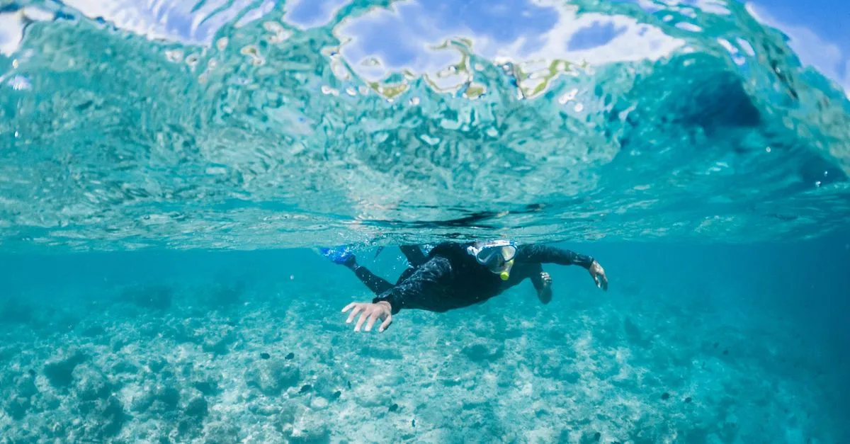 découvrez notre équipement de snorkeling de qualité pour explorer les fonds marins en toute sécurité et confort. masques, tubas, palmes et accessoires adaptés à tous niveaux.